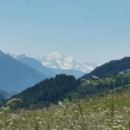 Haus Seiler Appartement Goms Buitenkant foto